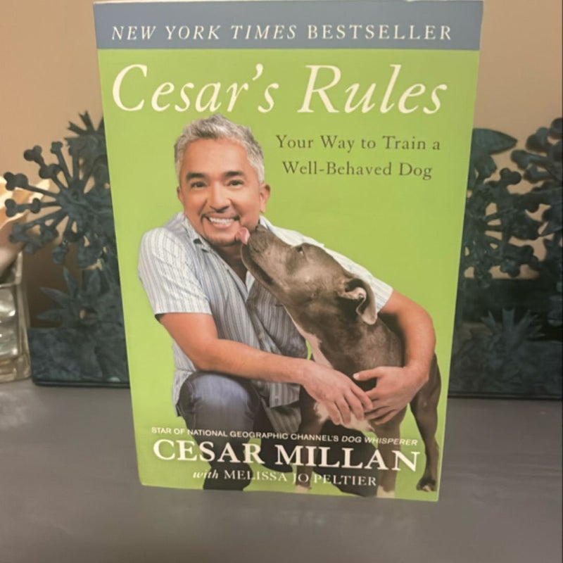 Cesar's Rules