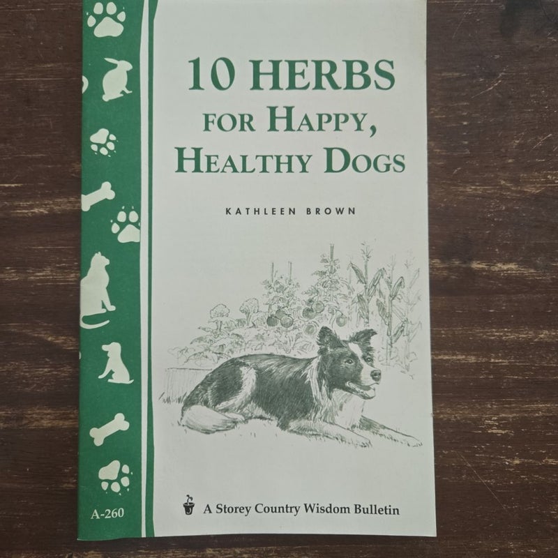 10 Herbs for Happy, Healthy Dogs