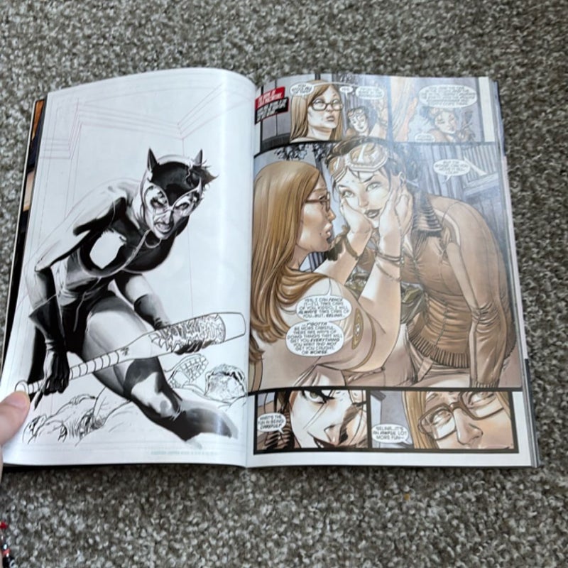 Catwoman Vol. 1: the Game (the New 52)