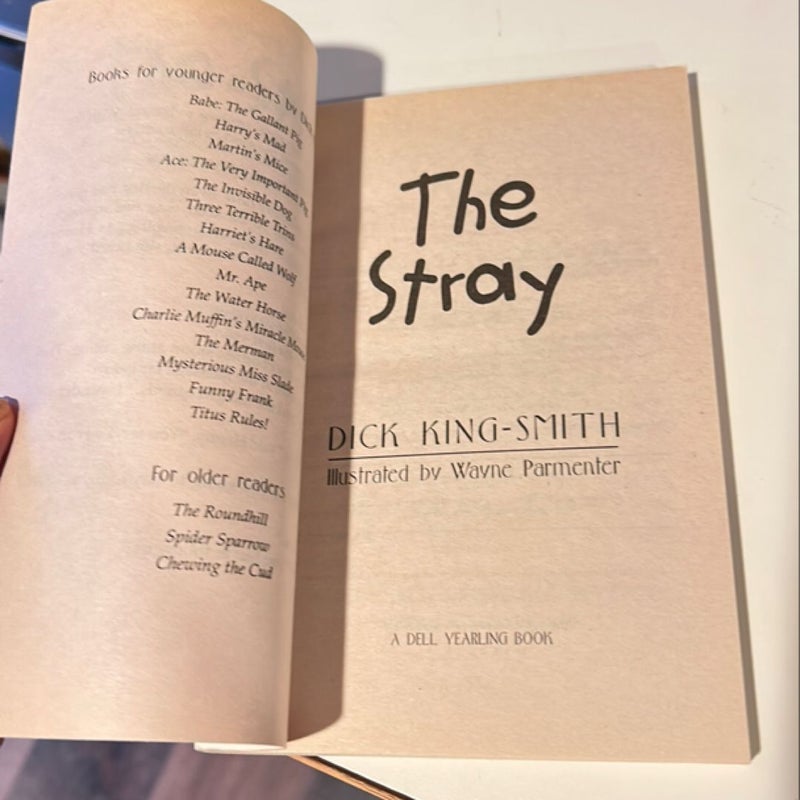 The Stray