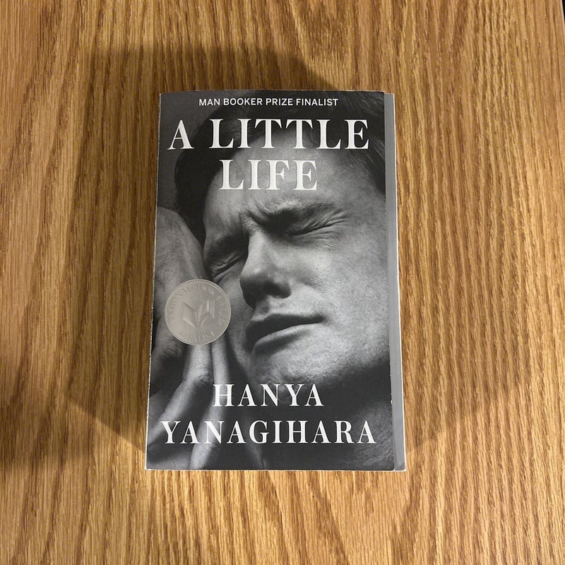 Hanya Yanagihara 2 Books Set (To Paradise & A Little Life)