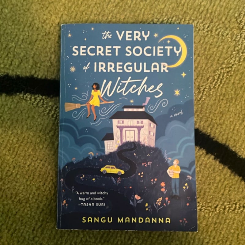 The Very Secret Society of Irregular Witches