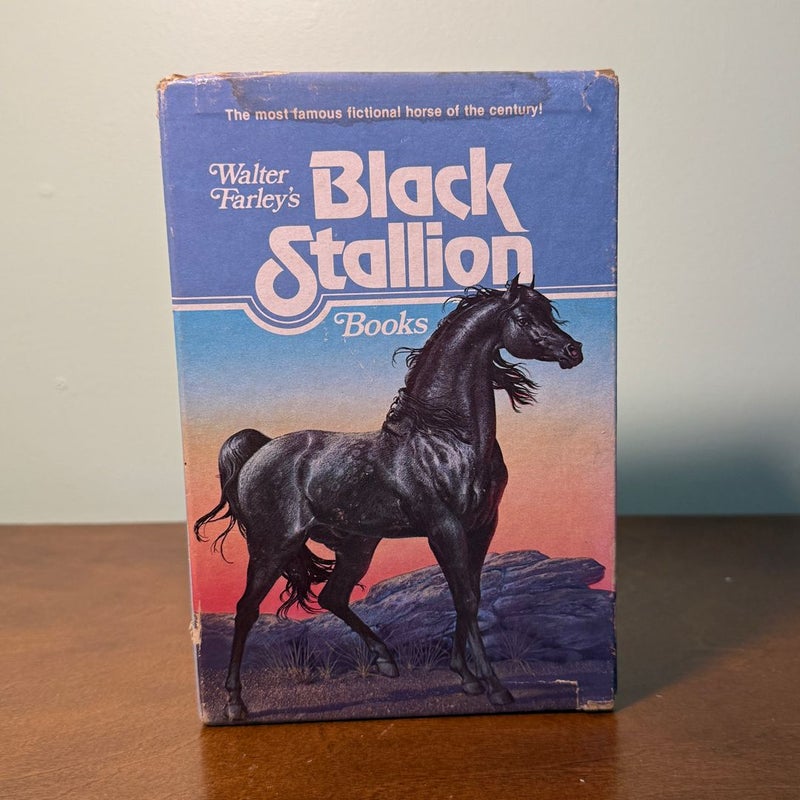 Black Stallion Books
