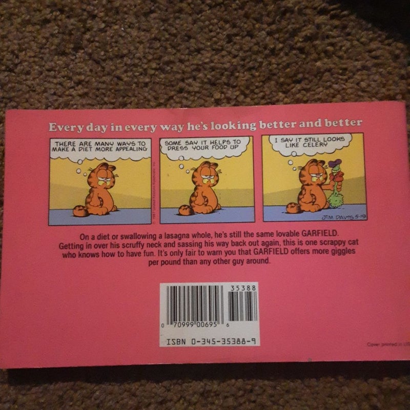 Garfield Round Out