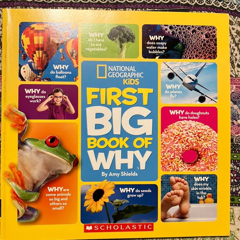 First big book of why