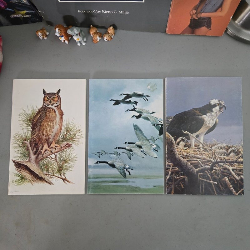 Lot (3) Leigh Yawkey Woodson Museum Bird Art Catalogs 1978 1980 1982