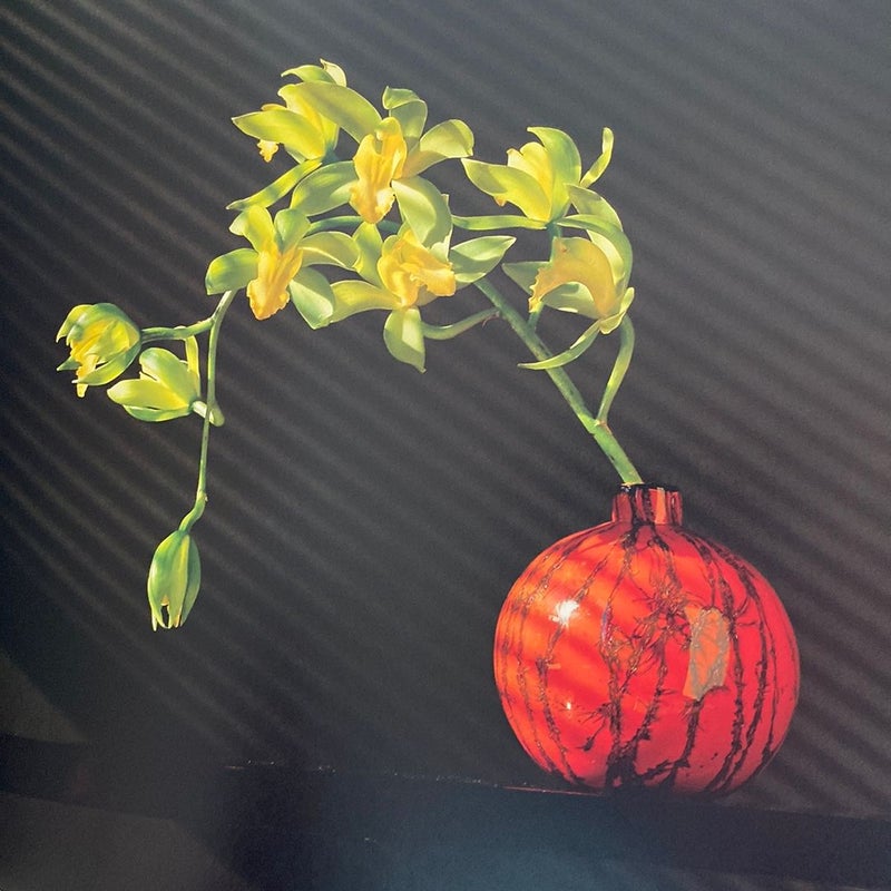Mapplethorpe: the Complete Flowers by Robert Mapplethorpe