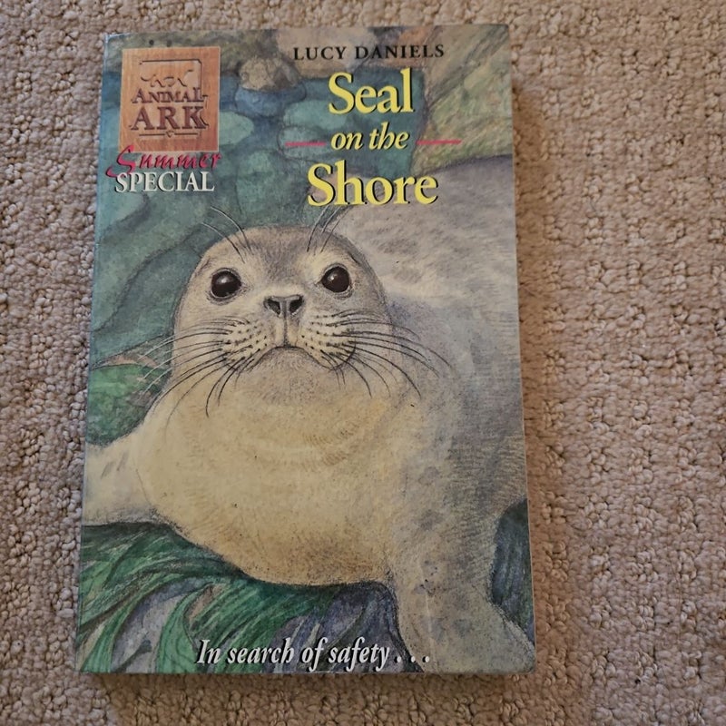 Seal on the Shore