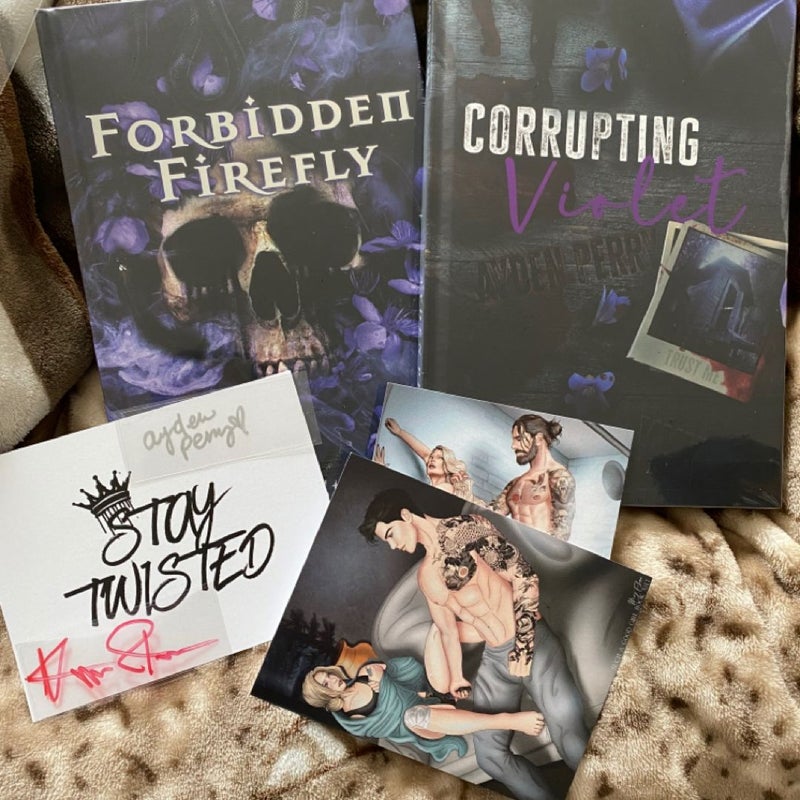 twisted fiction book box Allie stern & ayden perry