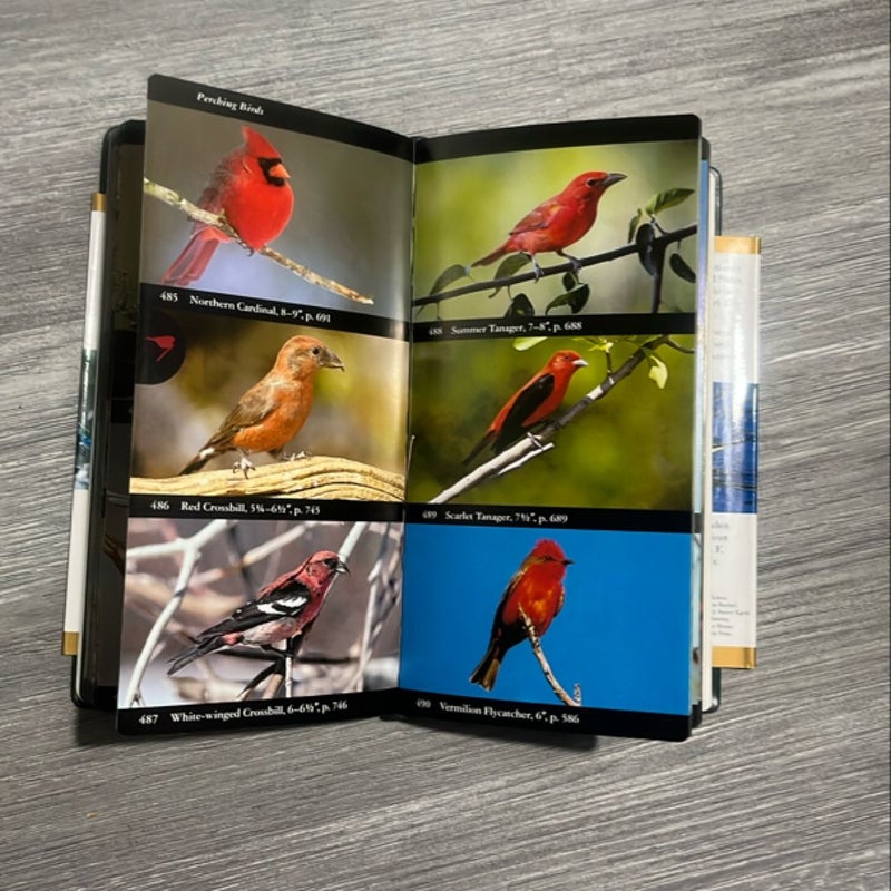 National Audubon Society Field Guide to North American Birds--E