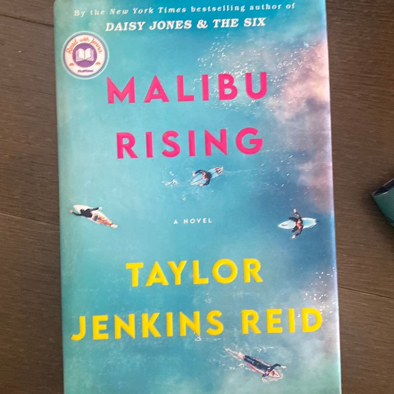 Malibu Rising