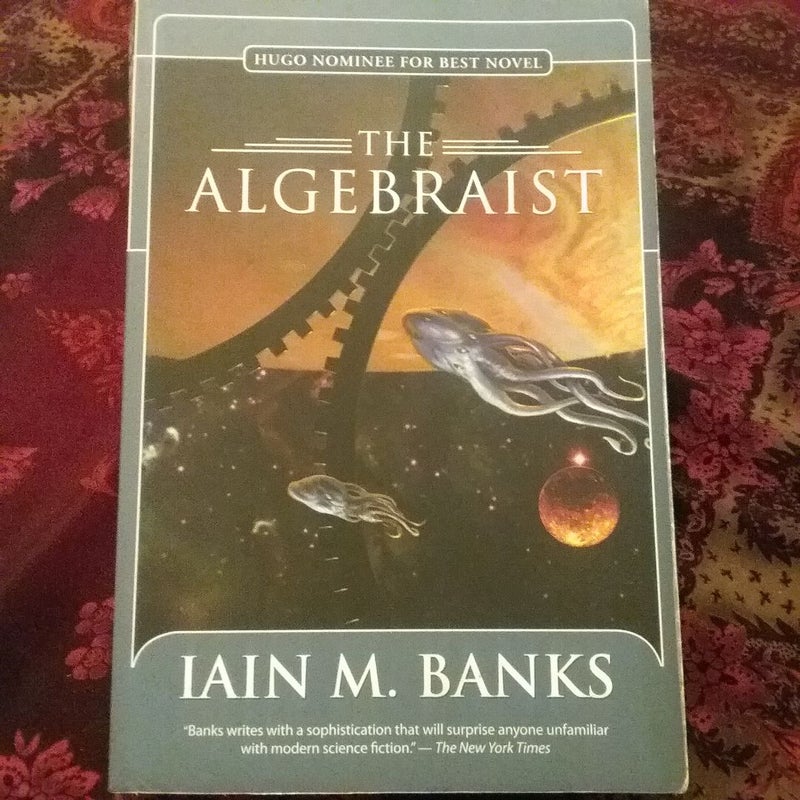 The Algebraist