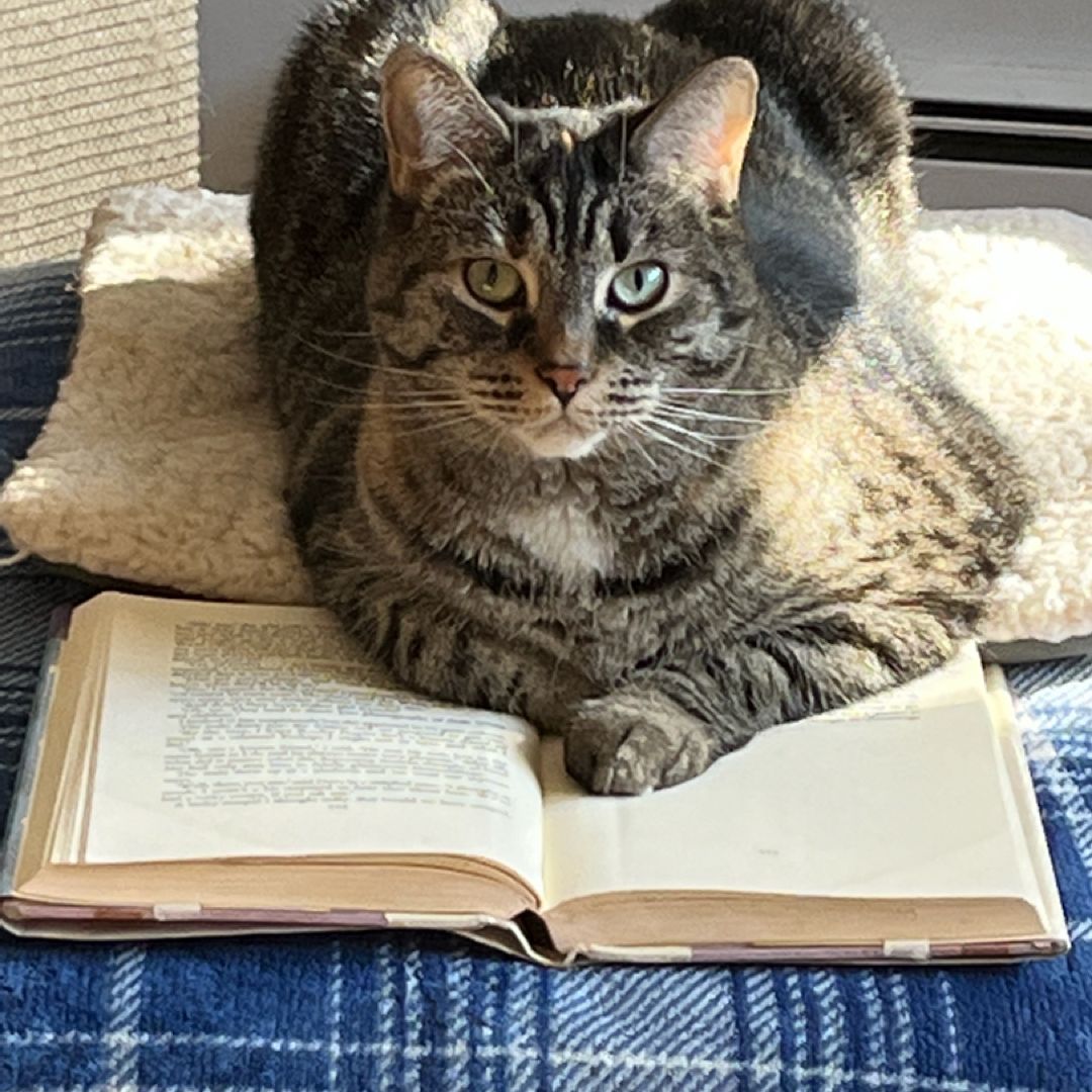 Kristine’s shelves