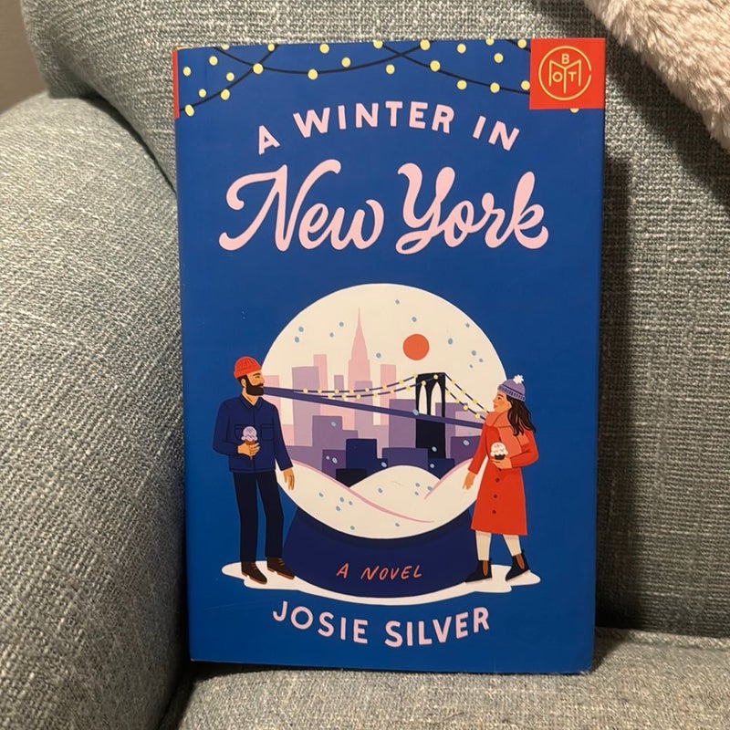 A Winter in New York