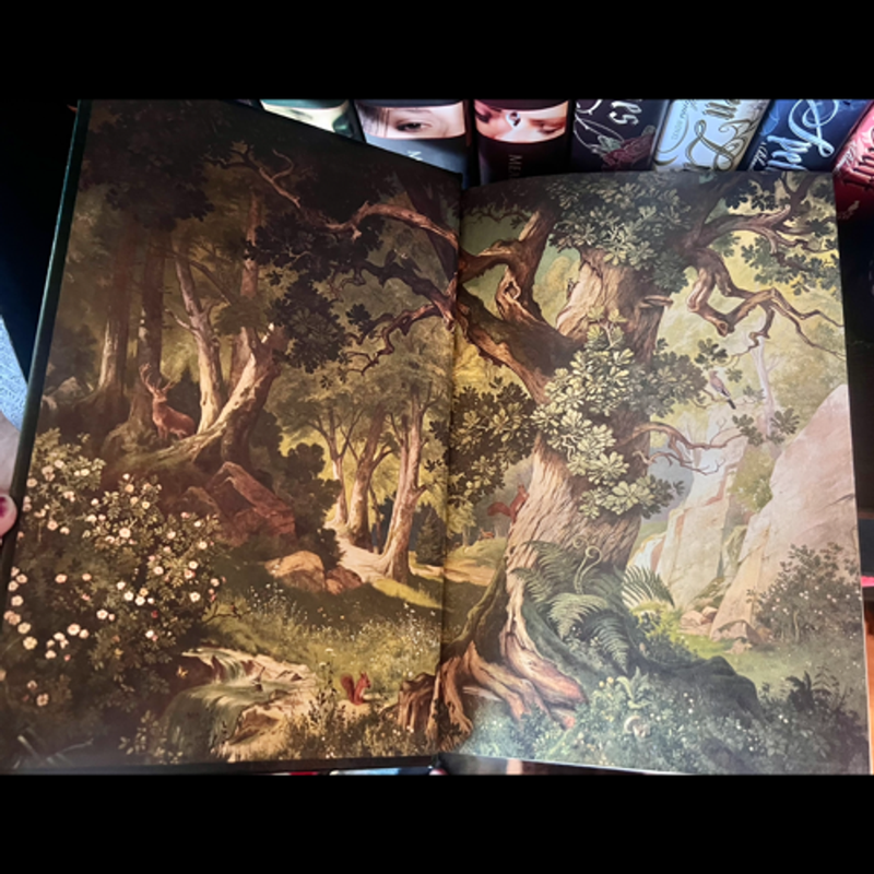 Grimm’s Complete Fairy Tales Luxe edition 
