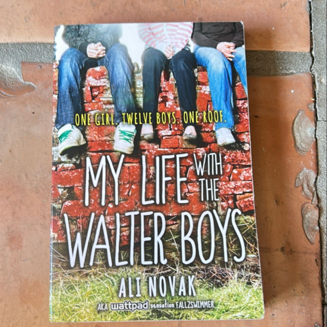 My Life with the Walter Boys