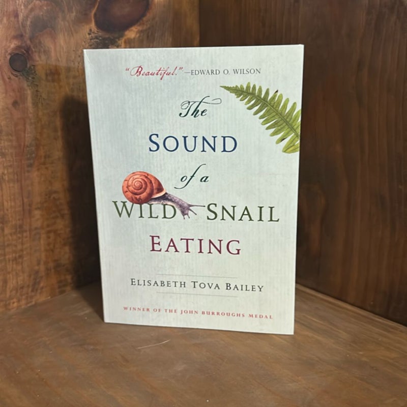 The Sound of a Wild Snail Eating