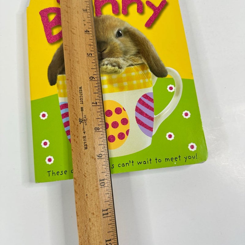 Easter Bunny Baby Touch and Feel