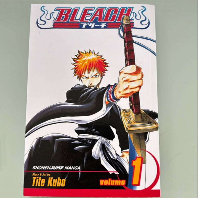 Bleach, Vol. 1