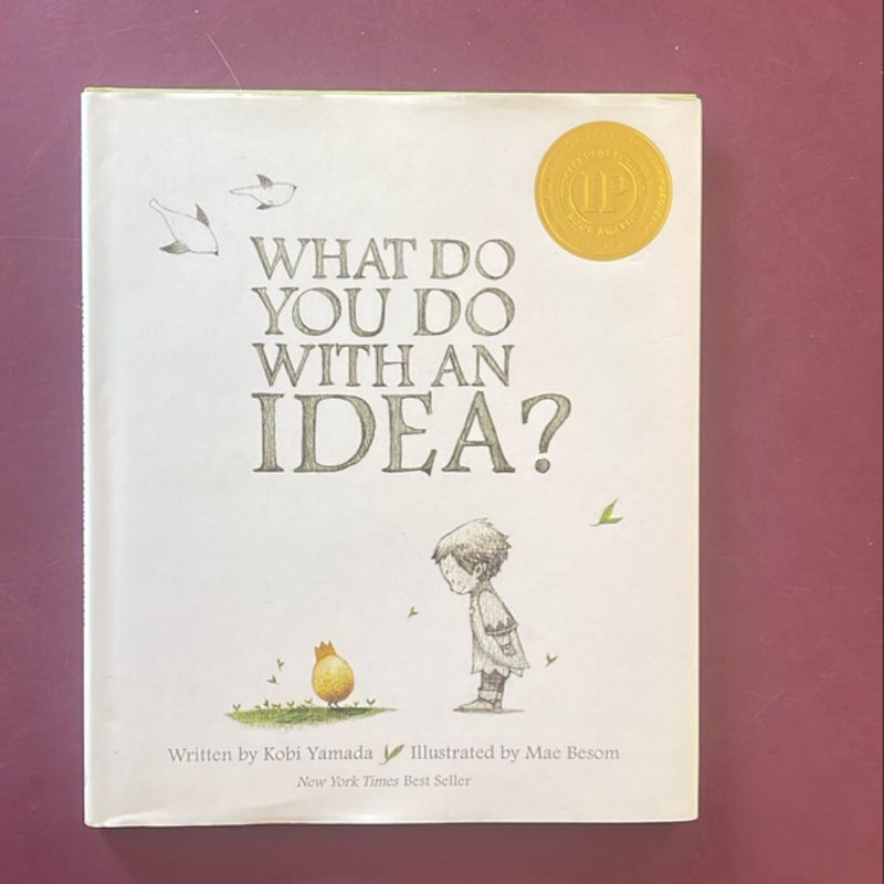 What Do You Do with an Idea?