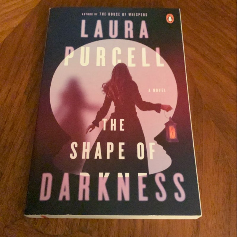 The Shape of Darkness