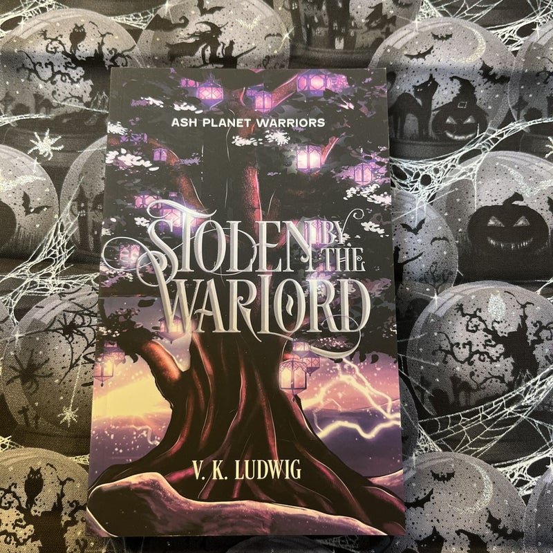 Stolen By The Warlord (Renegade Romance) 