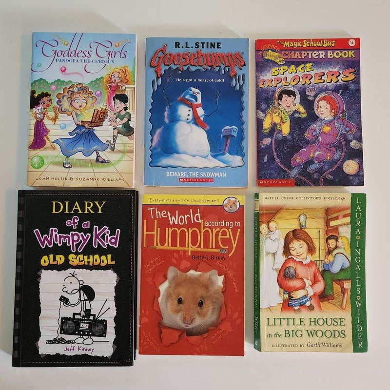 Children's Chapter Book Lot of 13