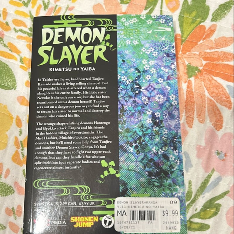 Demon slayer volume 13 