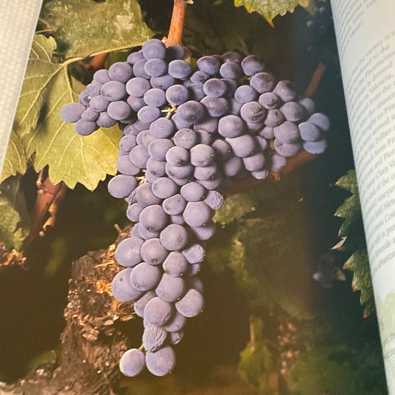 Wine Grape Varieties in California 