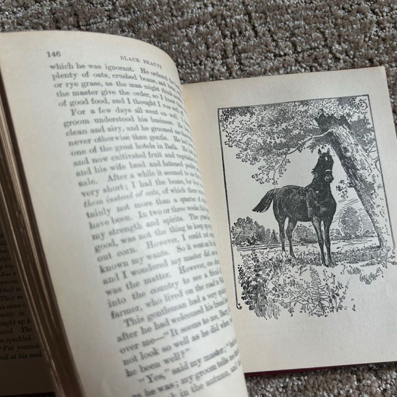 Black Beauty: The Autobiography of a Horse