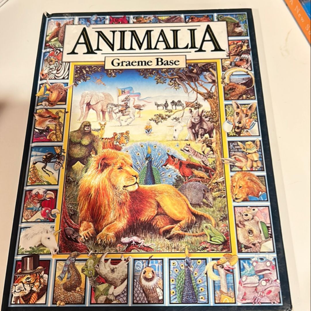 Animalia Midi