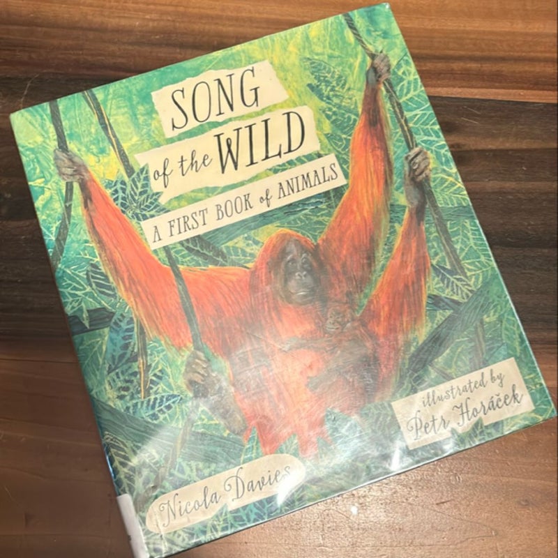 Song of the Wild: a First Book of Animals