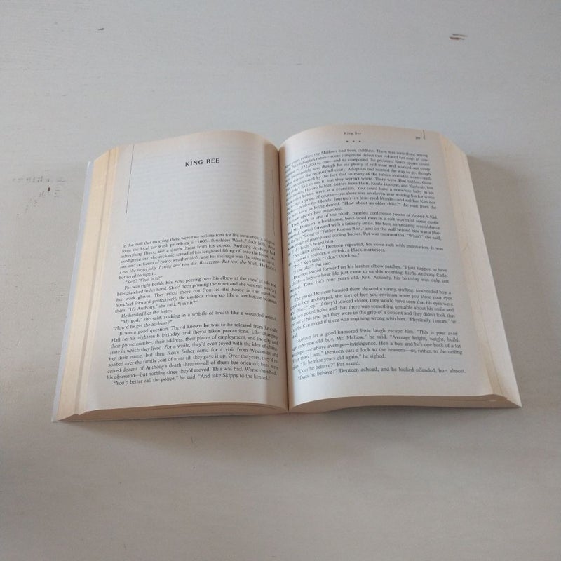 T. C. Boyle Stories