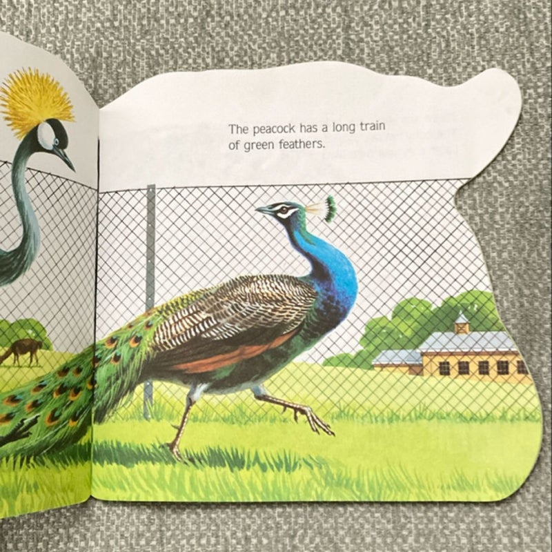 The Zoo Book