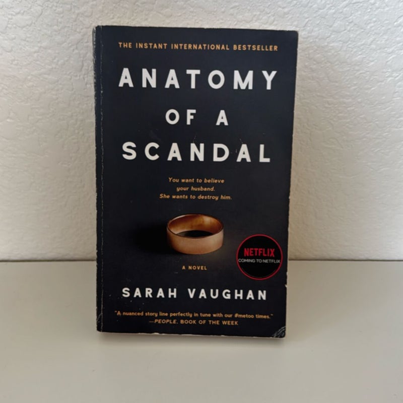 Anatomy of a Scandal