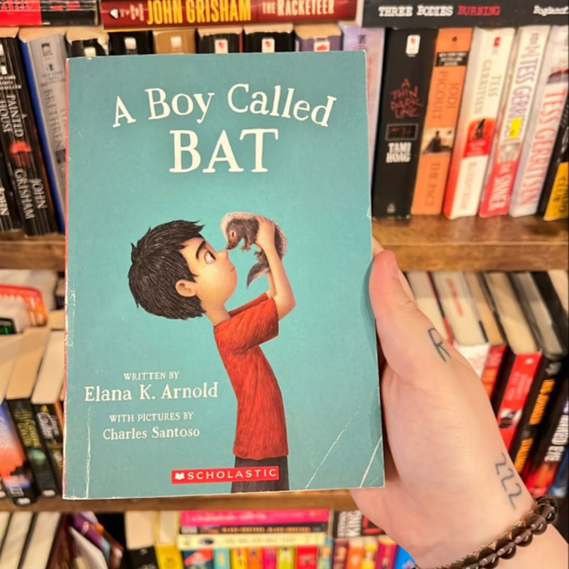 A Boy Called Bat