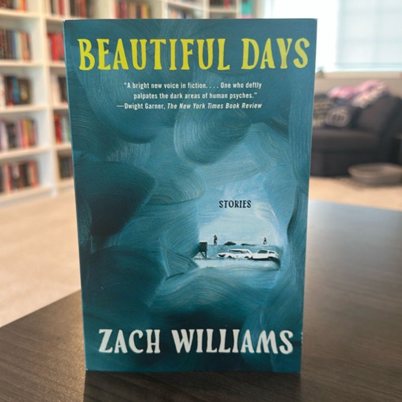 Beautiful Days