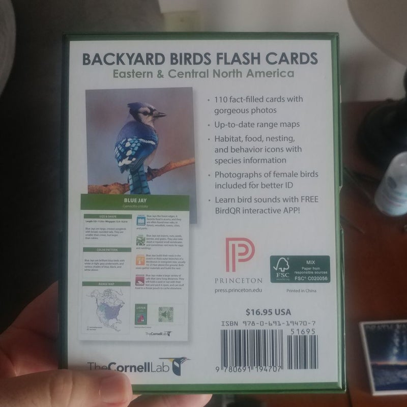 Backyard Birds Flash Cards - Eastern and Central North America