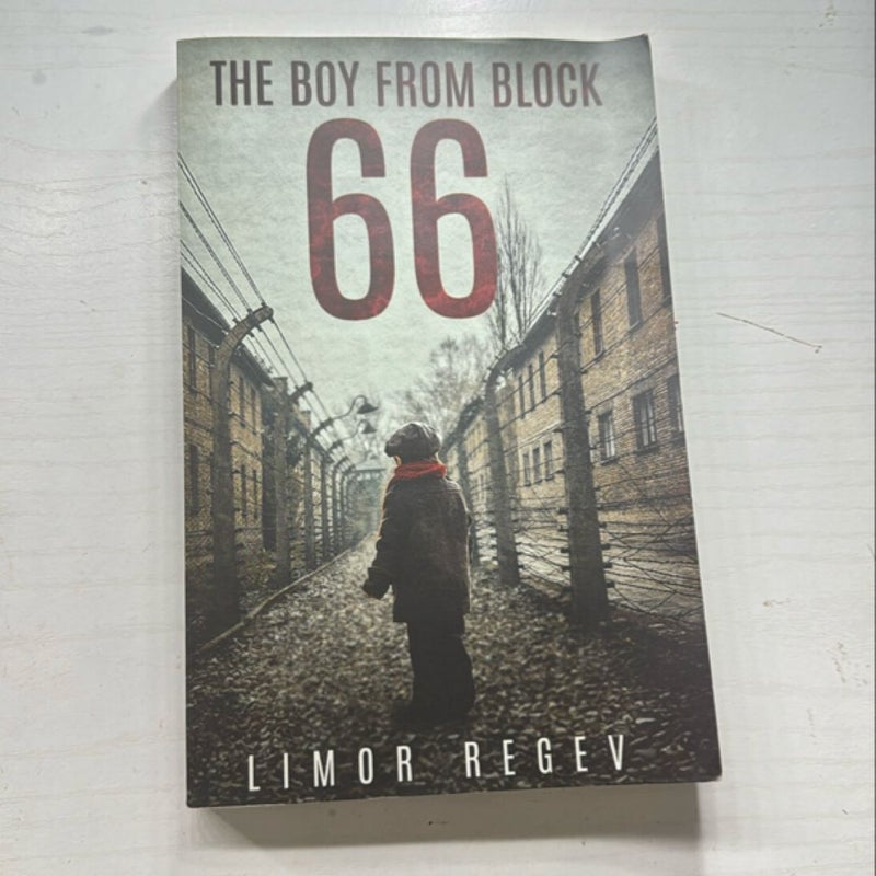 The Boy from Block 66: a WW2 Jewish Holocaust Survival True Story