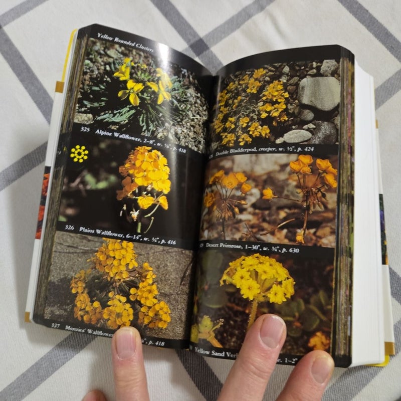 National Audubon Society Field Guide to Wildflowers