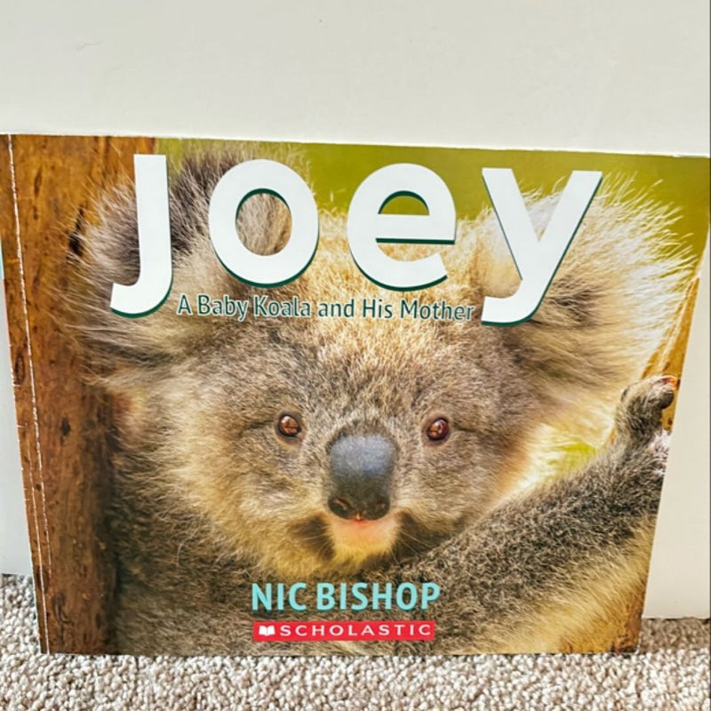 Joey: A Baby Koala and His Mother