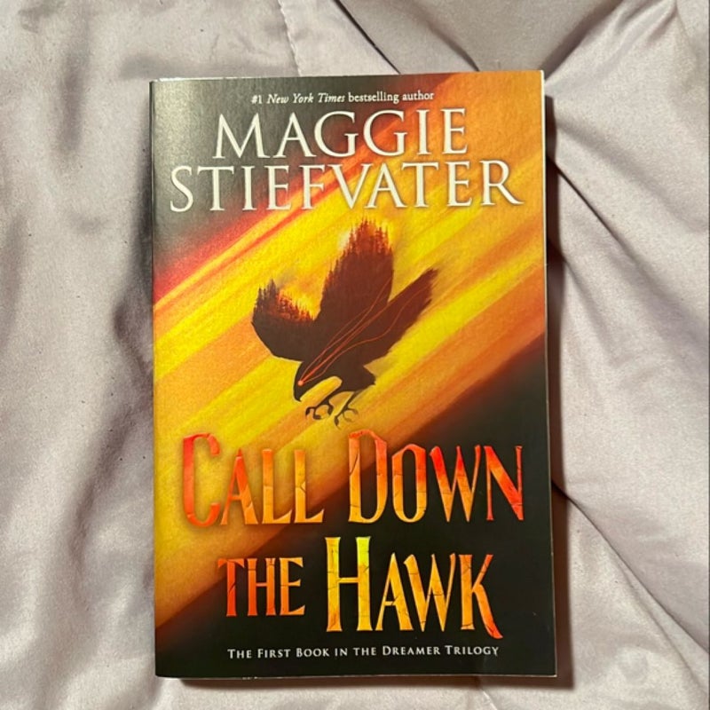 Call down the Hawk (the Dreamer Trilogy, Book 1)