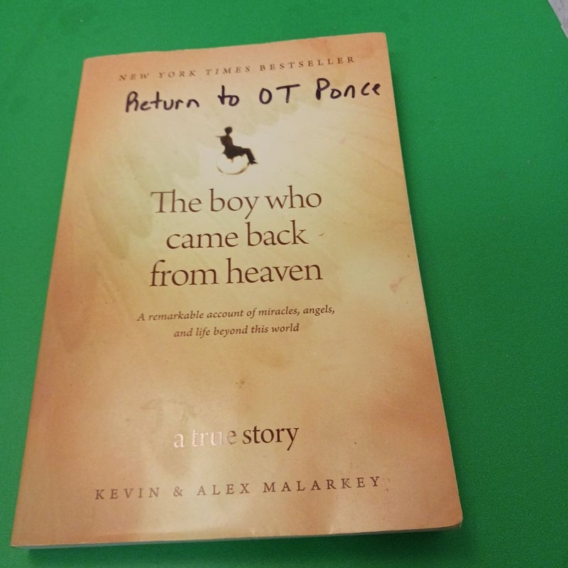 The Boy Who Came Back from Heaven