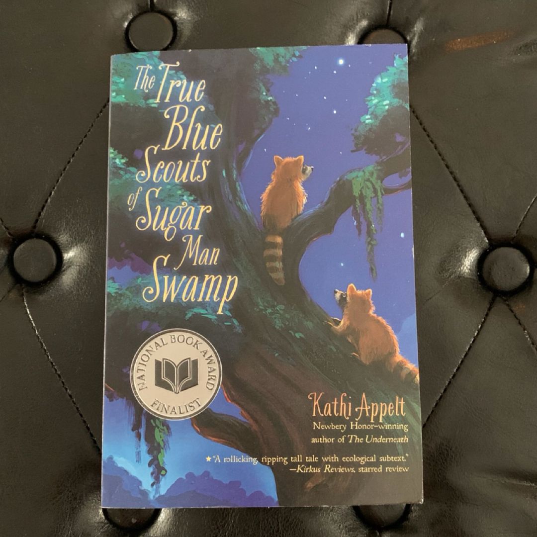 The True Blue Scouts of Sugar Man Swamp