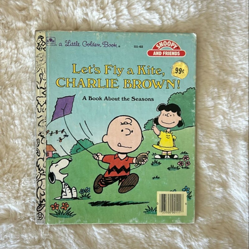 Let’ Fly a Kite, Charlie Brown!