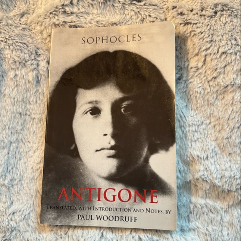 Antigone