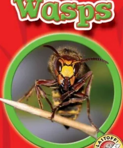World of Insects WASPS