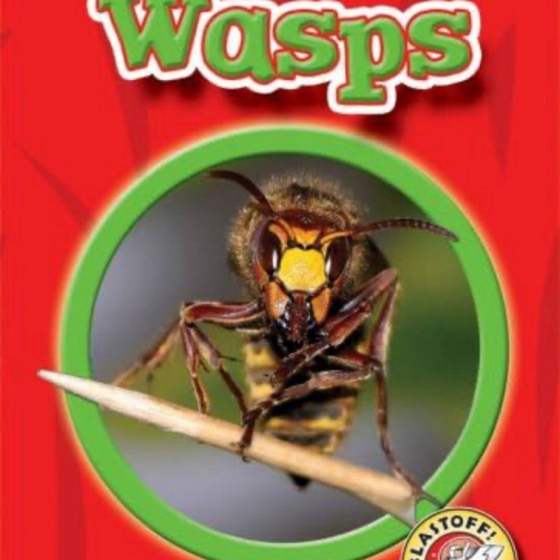 Wasps