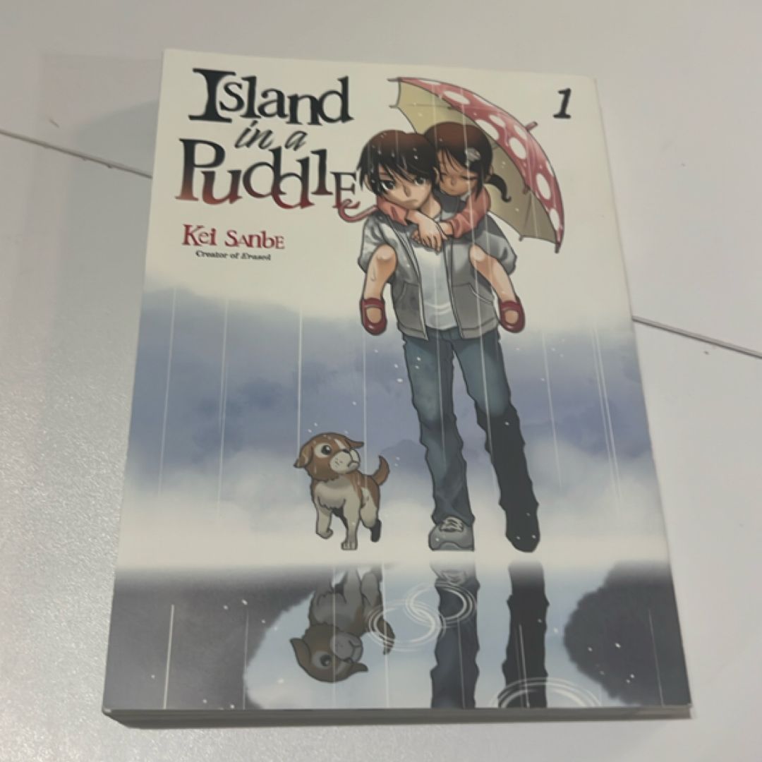 Island in a Puddle 1