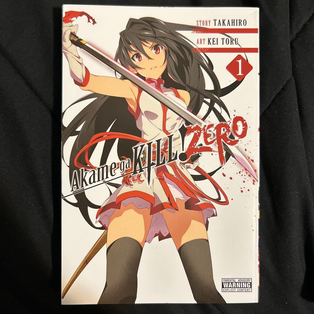 Buy Akame ga Kill Zero Kei Toryu [Volumes 1-10 Manga Complete Set